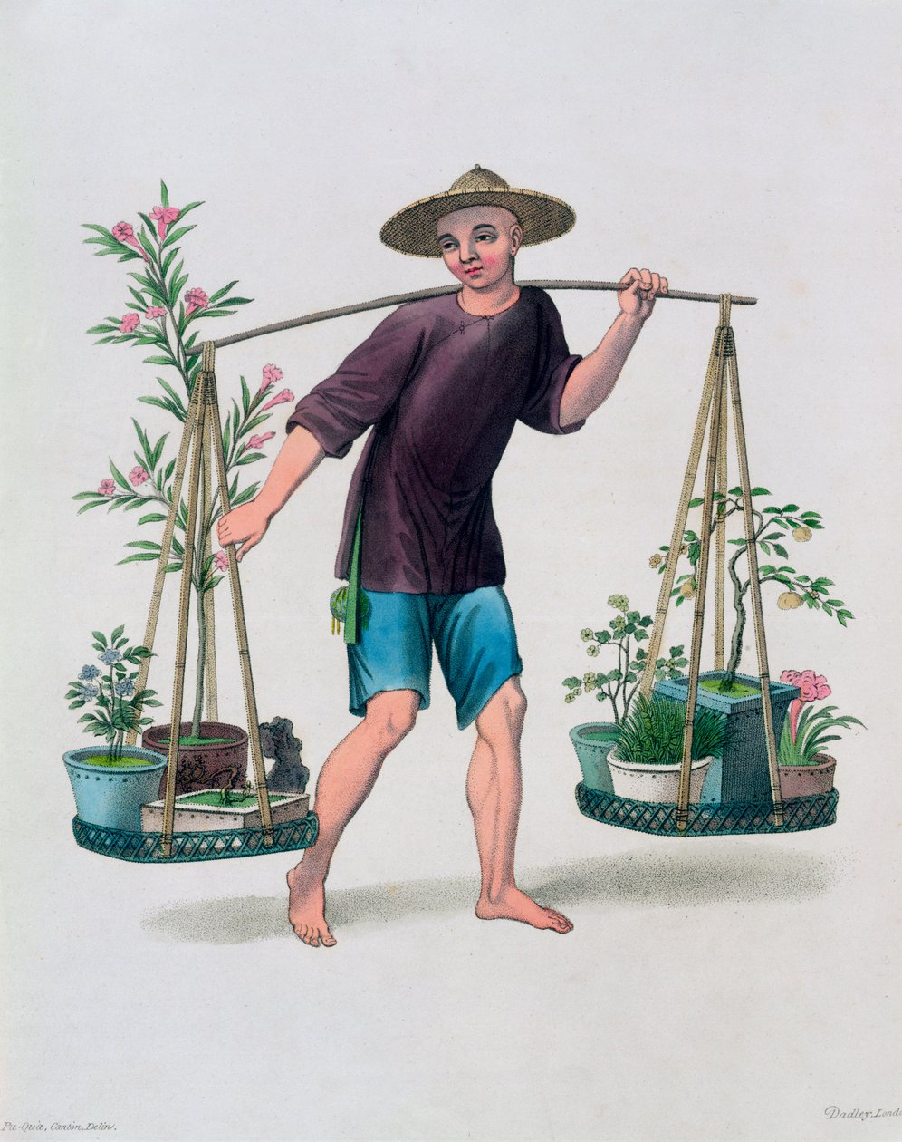 Un porteur avec des arbres fruitiers et des fleurs, Chine - J Dadley