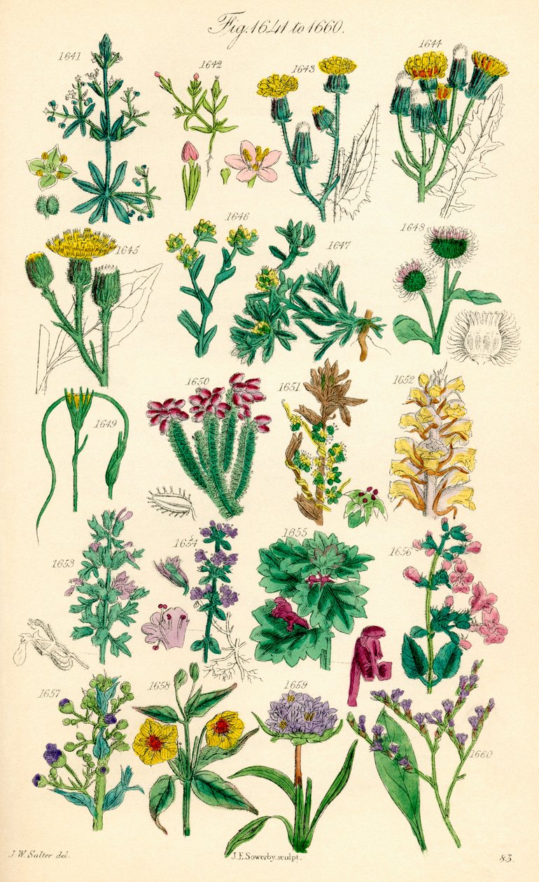 Page d