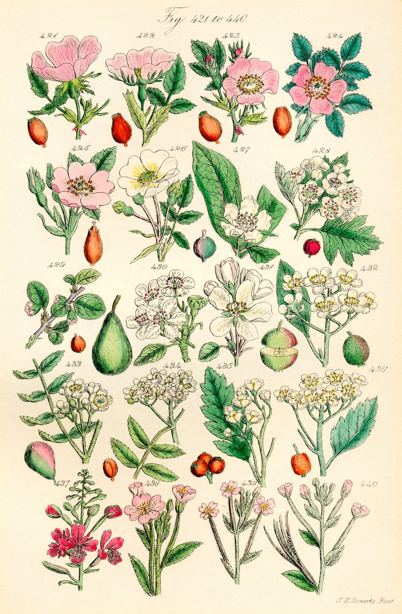 Page d