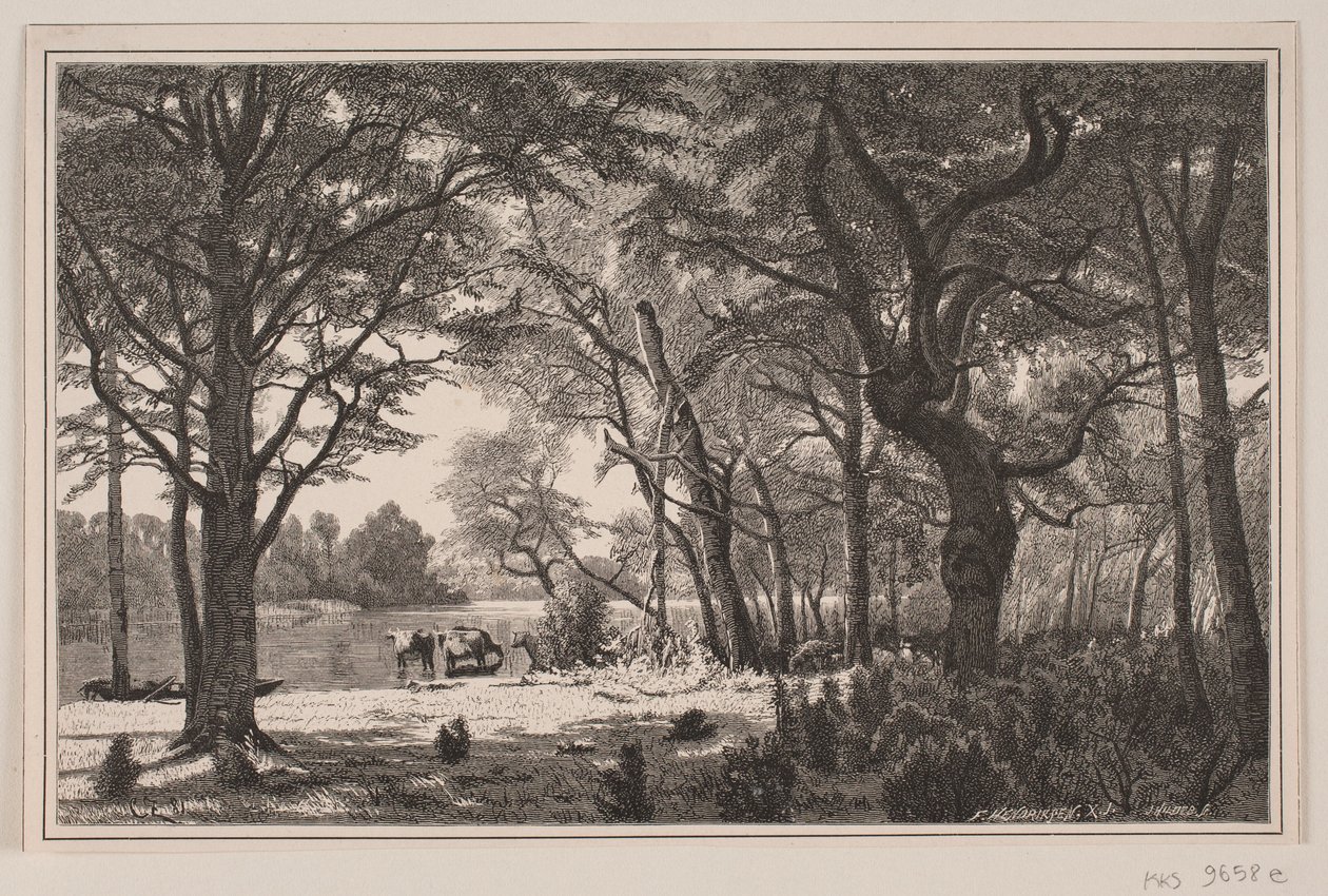 Paysage forestier du Jutland - J. Hildebrand