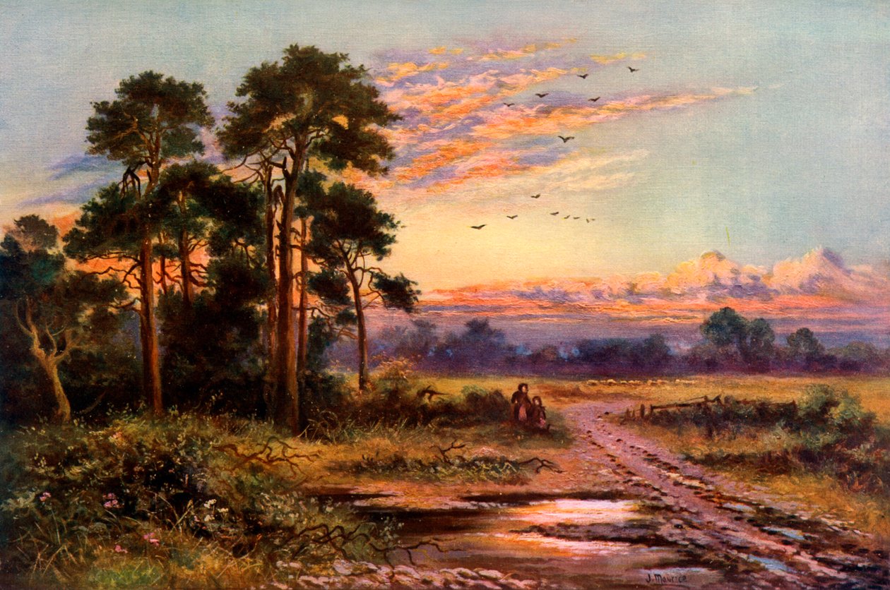 Coucher de soleil d