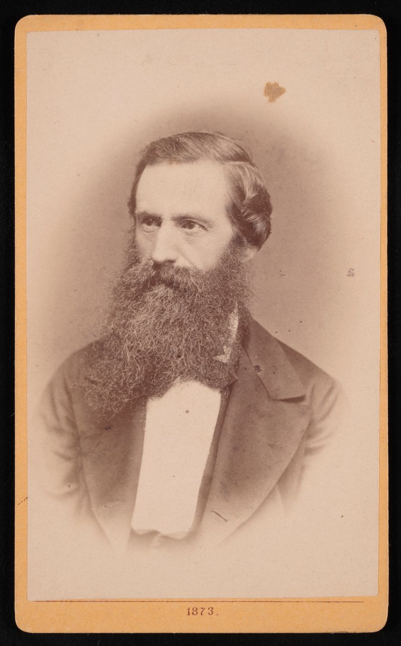Portrait de Mordecai Cubitt Cooke 1825-1914, 1873 - J Stegmann