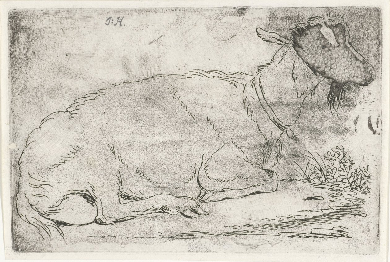 Chèvre couchée - Jabes Heenck (signed by artist)