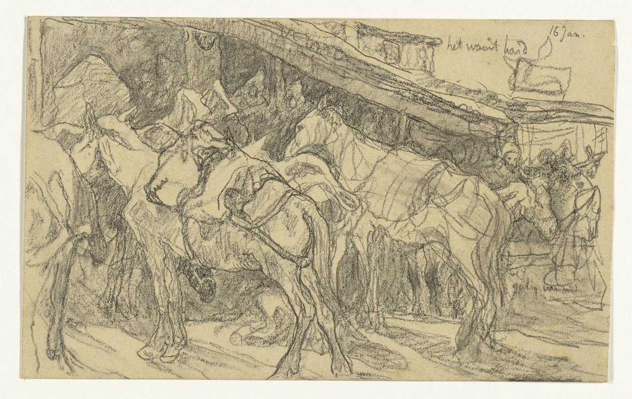 Mulets et ânes sur la Grande Place de Tanger - Jac van Looij