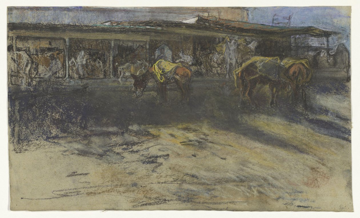 Ânes de bât sur la Grande Place à Tanger - Jac van Looij