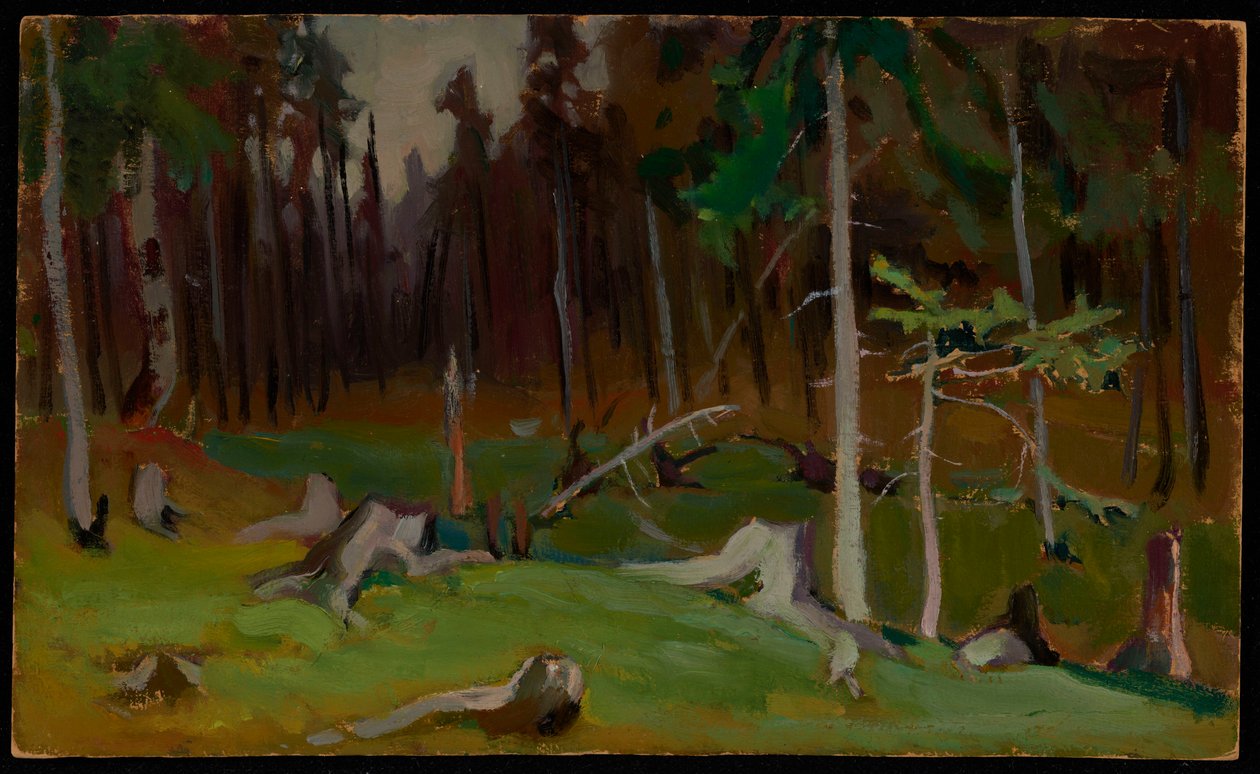 Une clairière dans la forêt - Jacek Malczewski