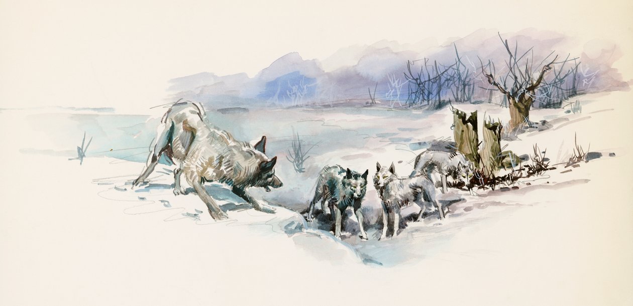 Meute de loups, du roman d