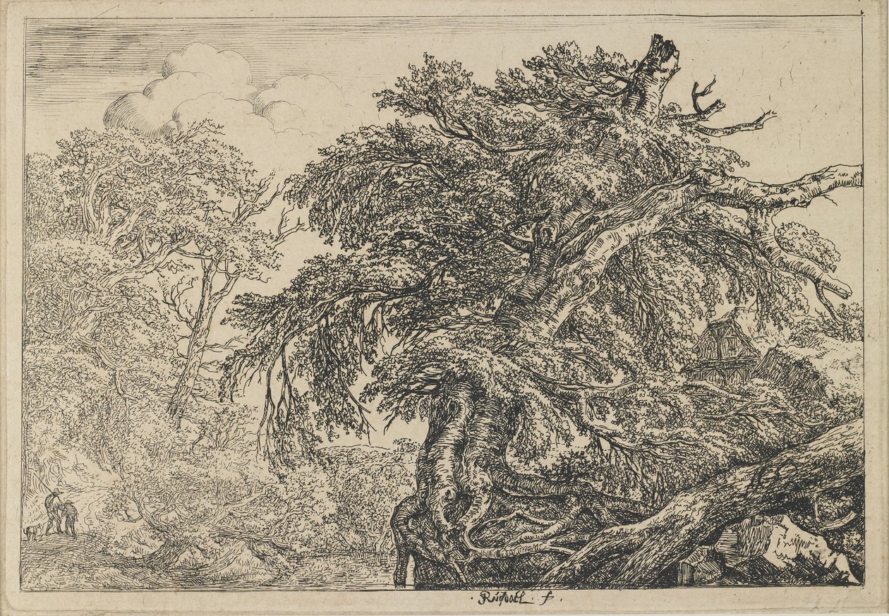 Le grand hêtre avec deux hommes et un chien, c. 1650-1655 - Jacob van Ruisdael