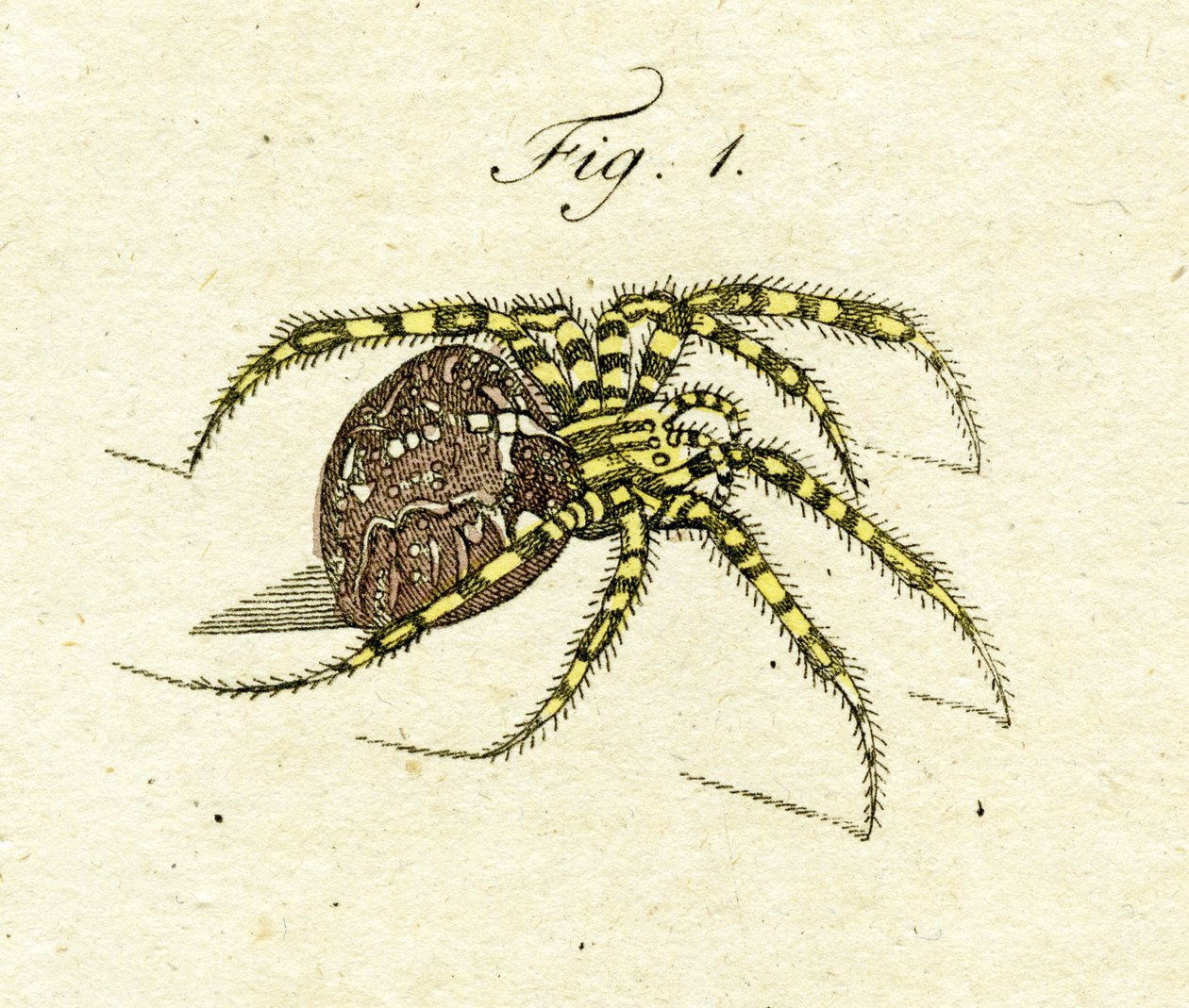 Illustration d