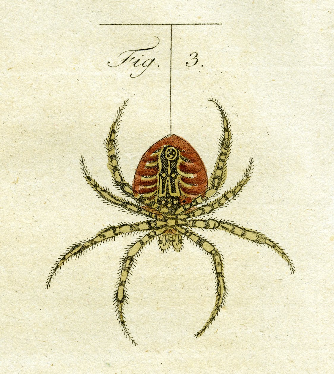 Illustration d