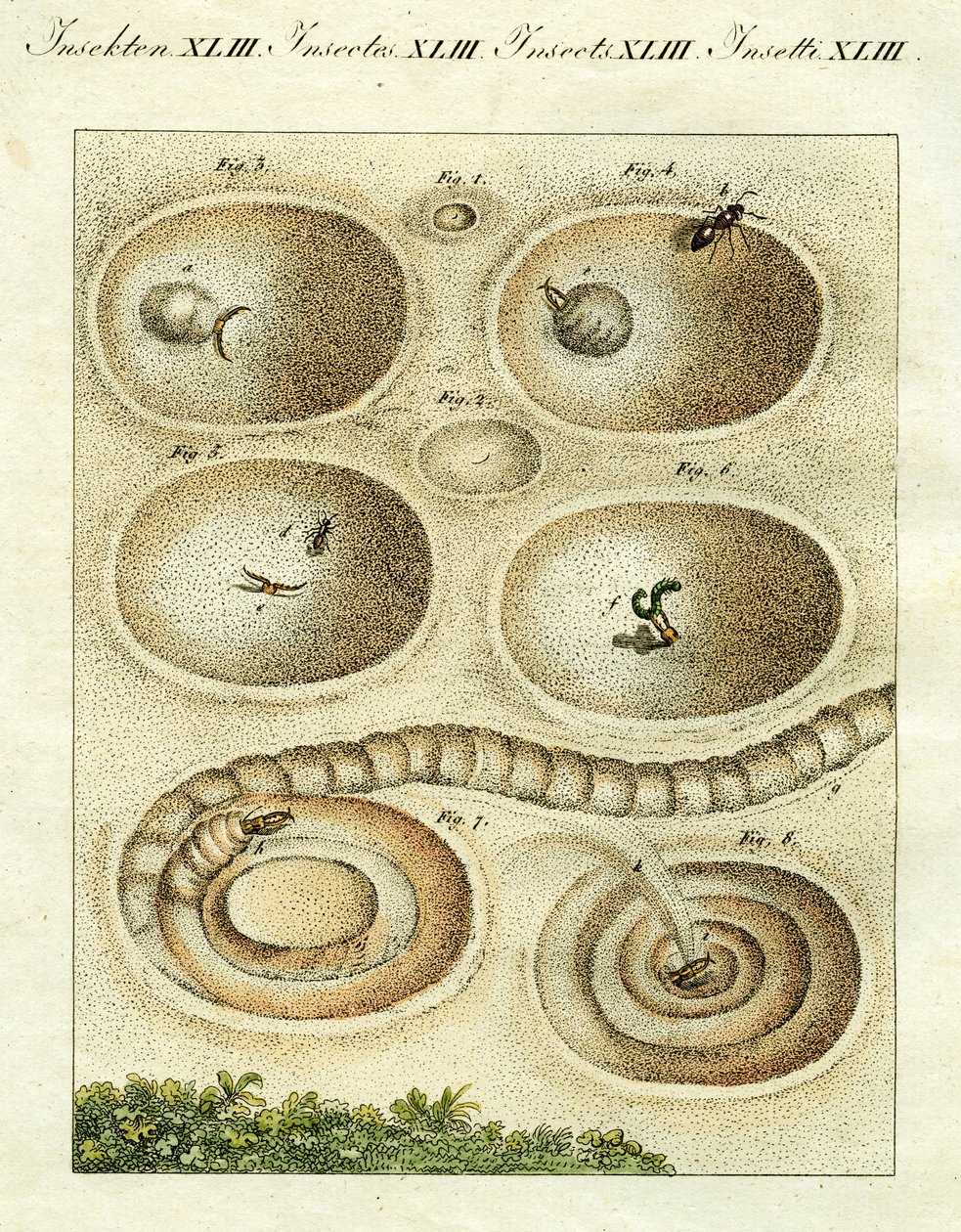 Illustration d
