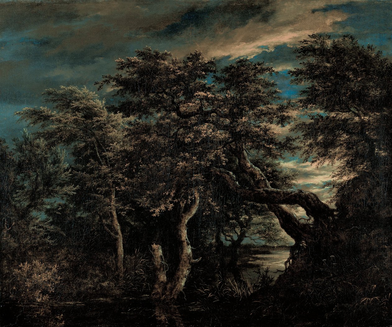 Un marais dans une forêt au crépuscule - Jacob van Ruisdael