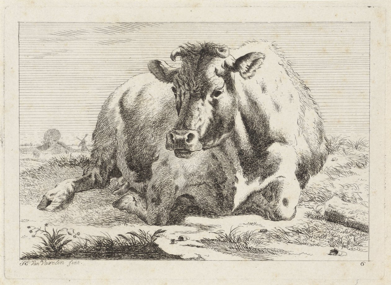 Vache couchée - Jacob Elias van Varelen