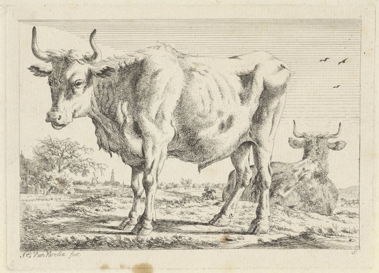 Bœuf debout et couché - Jacob Elias van Varelen