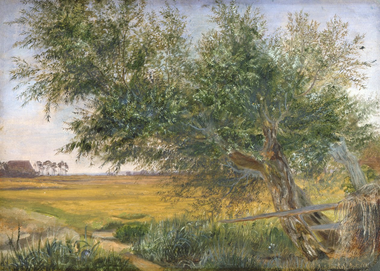 Le Vieil Arbre, 1842 - Jacob Gensler