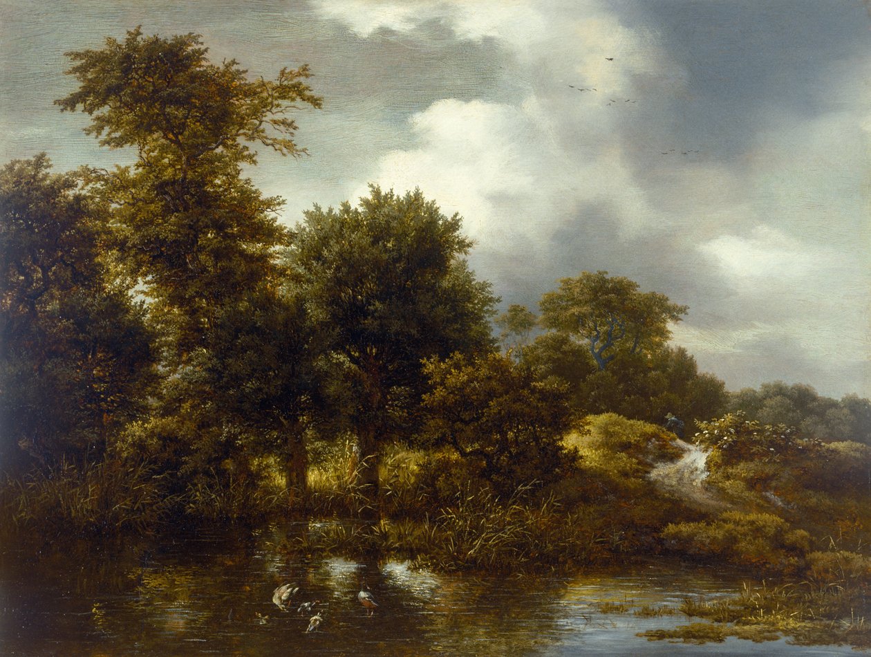 Paysage boisé avec un étang, fin des années 1640 - Jacob van Ruisdael