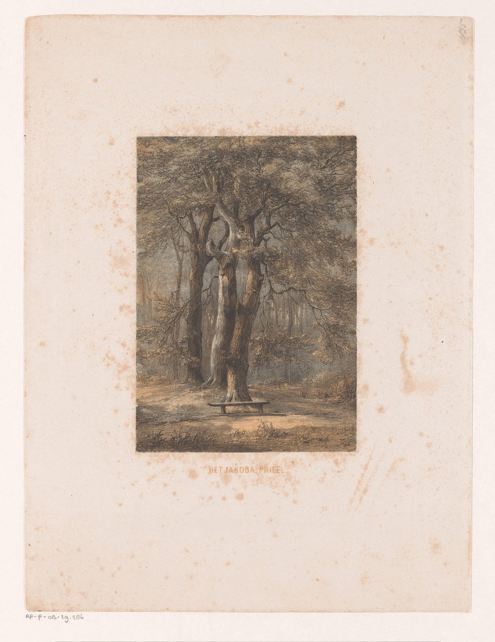 Jacoba-prieel - Jacob Jan van der Maaten