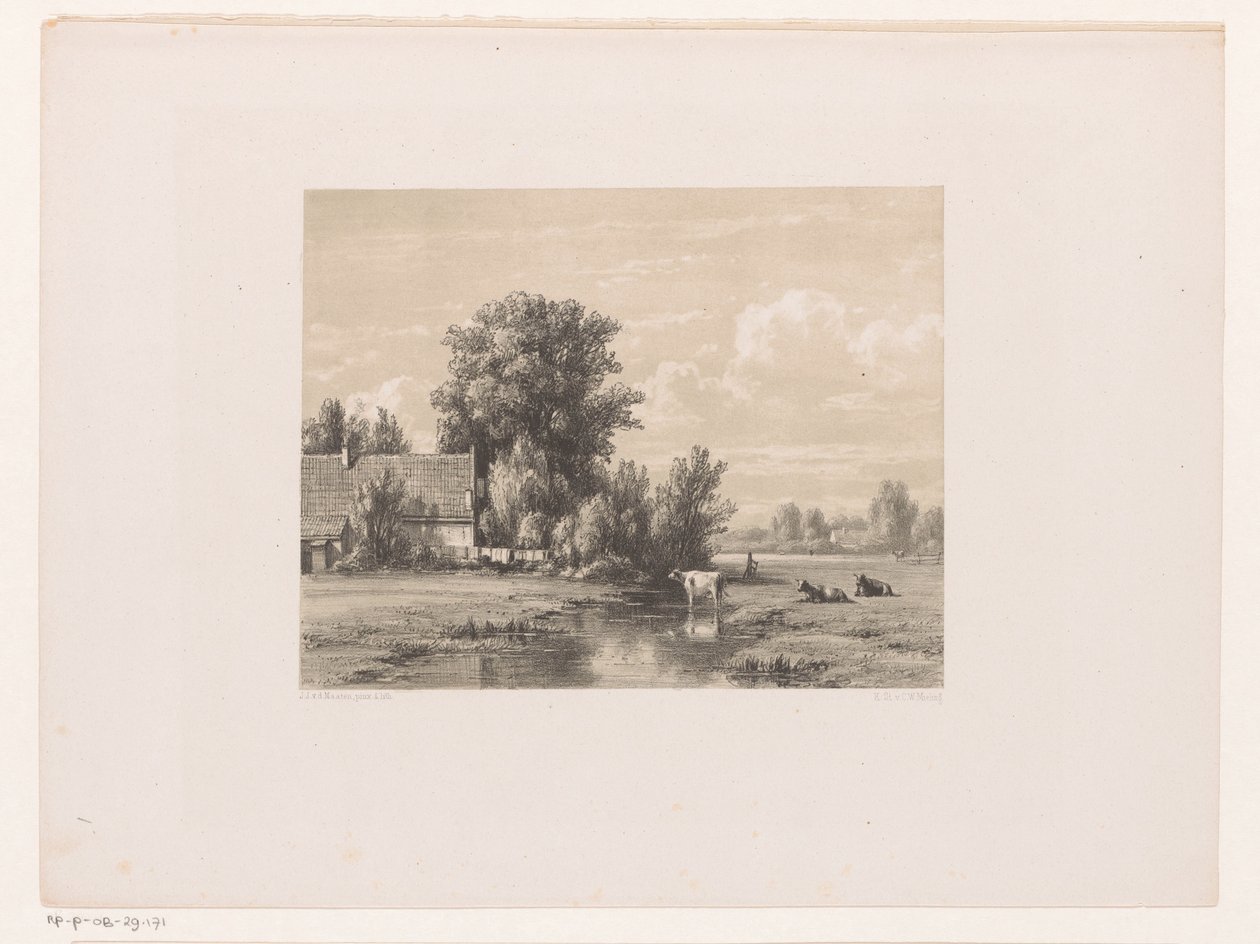 Paysage avec ferme et vache dans l