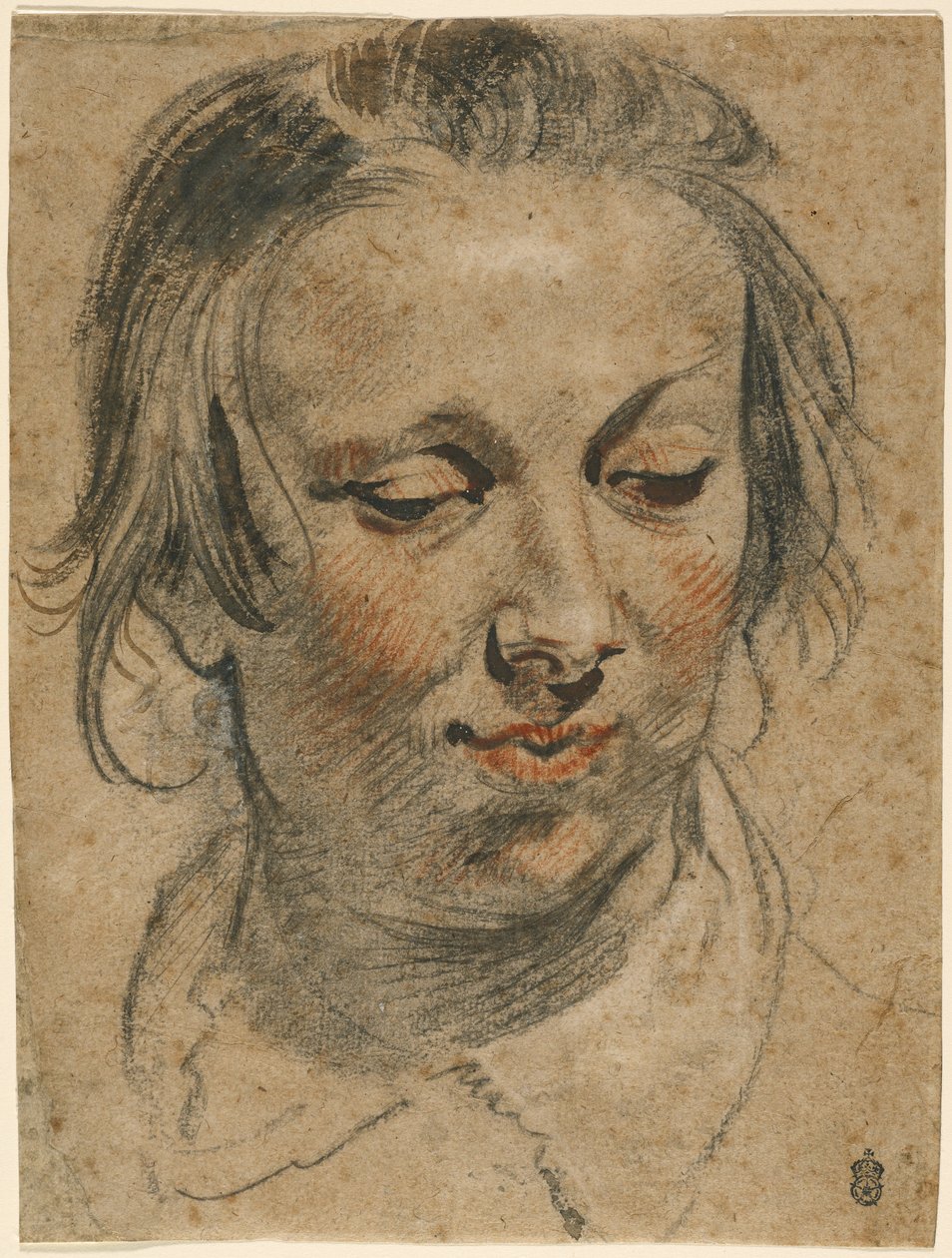 Tête de femme - Jacob Jordaens