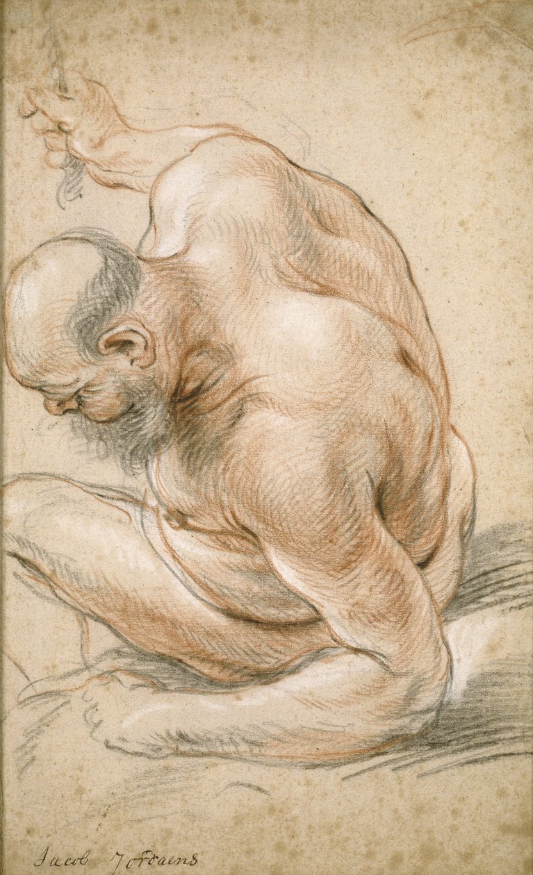 Vieil homme nu assis, appuyé sur son avant-bras, tourné vers la gauche, vers 1640 - Jacob Jordaens