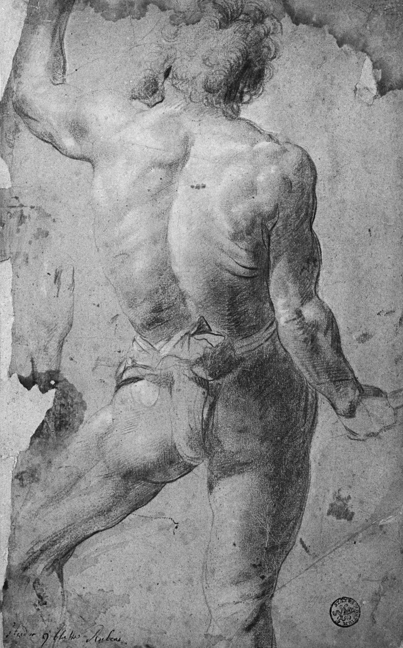 Nu masculin debout - Jacob Jordaens