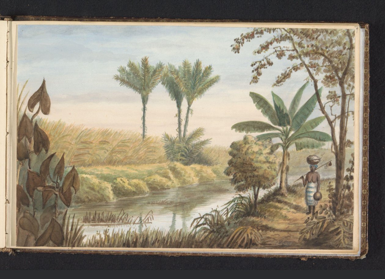 Vue d