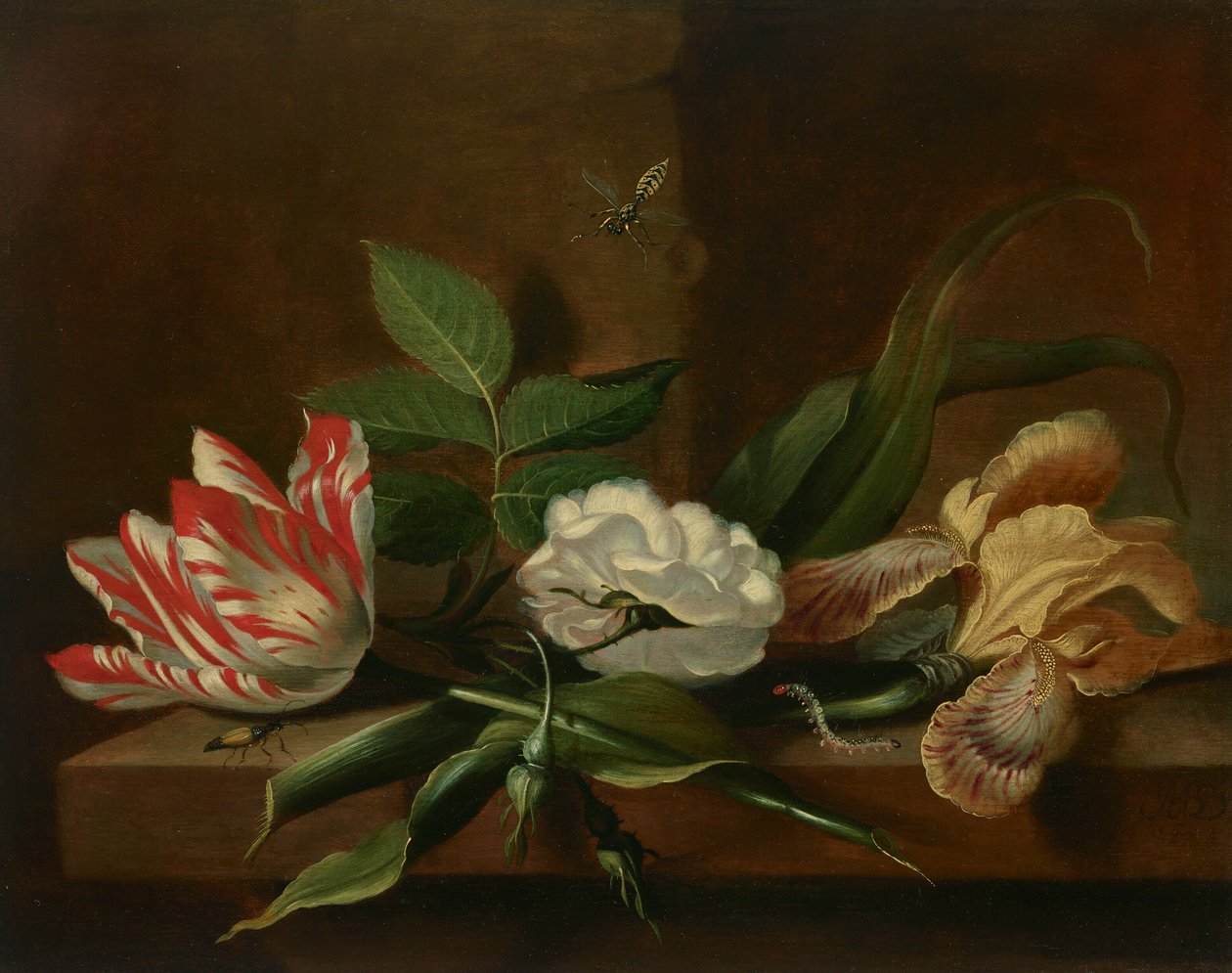 Une tulipe perroquet, une rose, un iris et des insectes sur une table en bois - Jacob Marrel