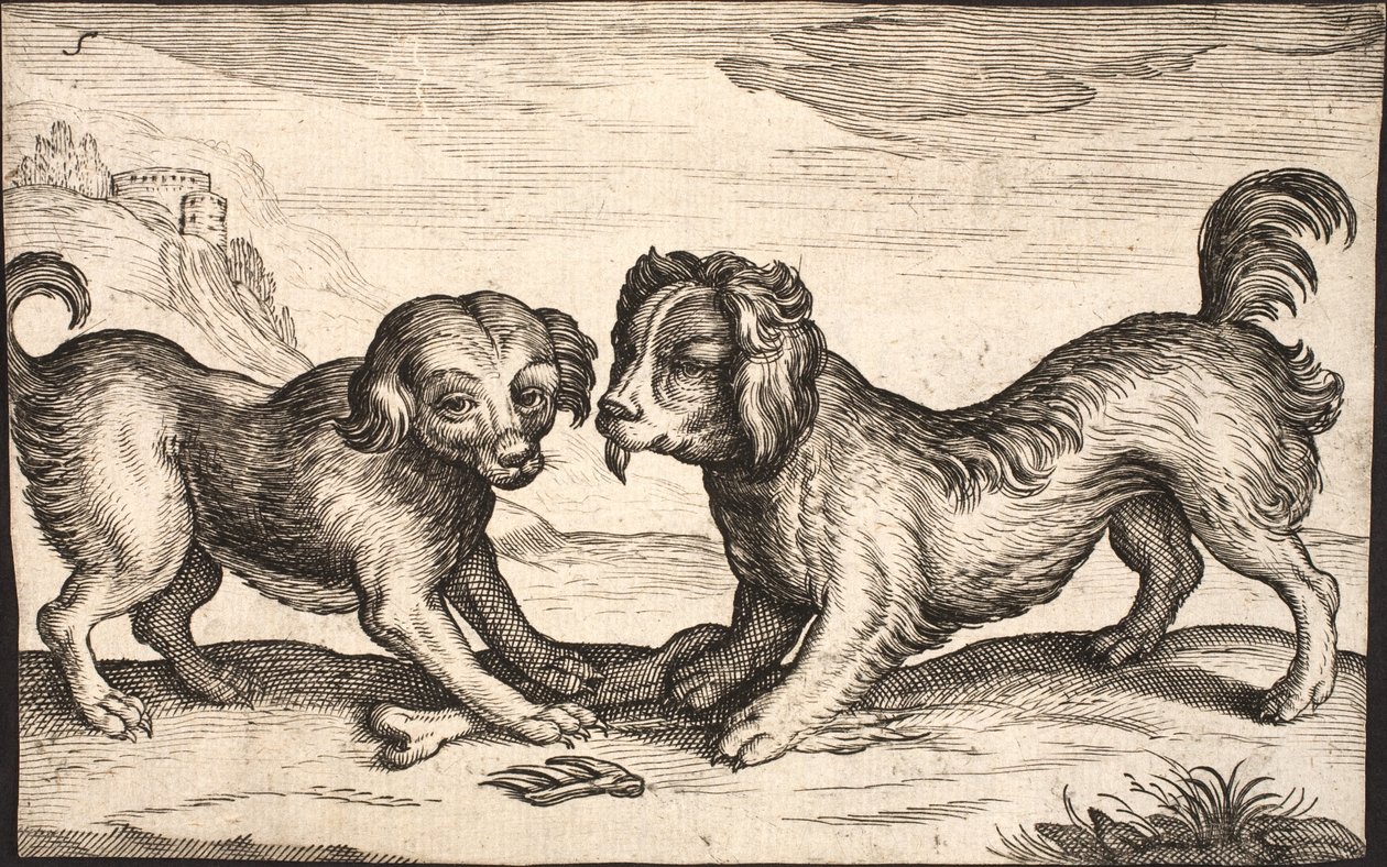 Deux petits chiens - Jacob Matham