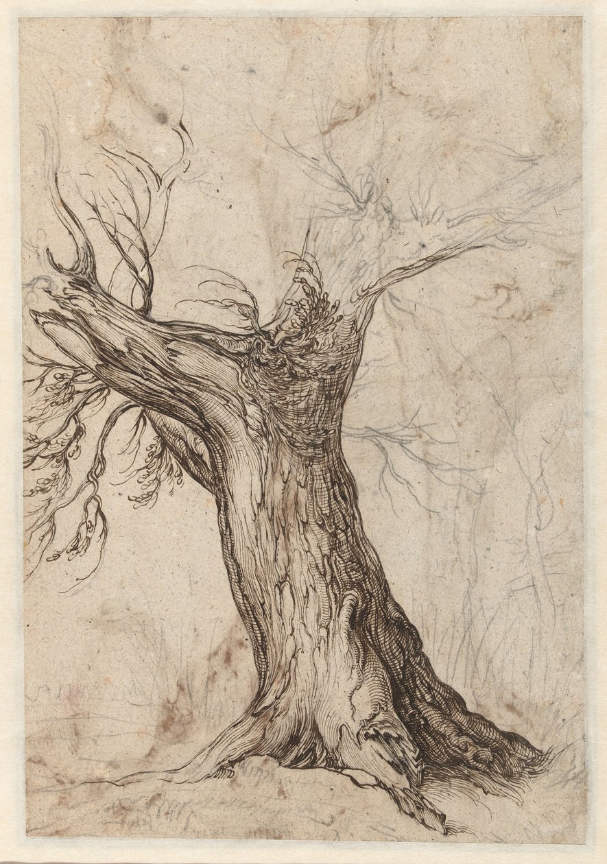 Châtaignier avec quelques arbres autour - Jacob de Gheyn (II)