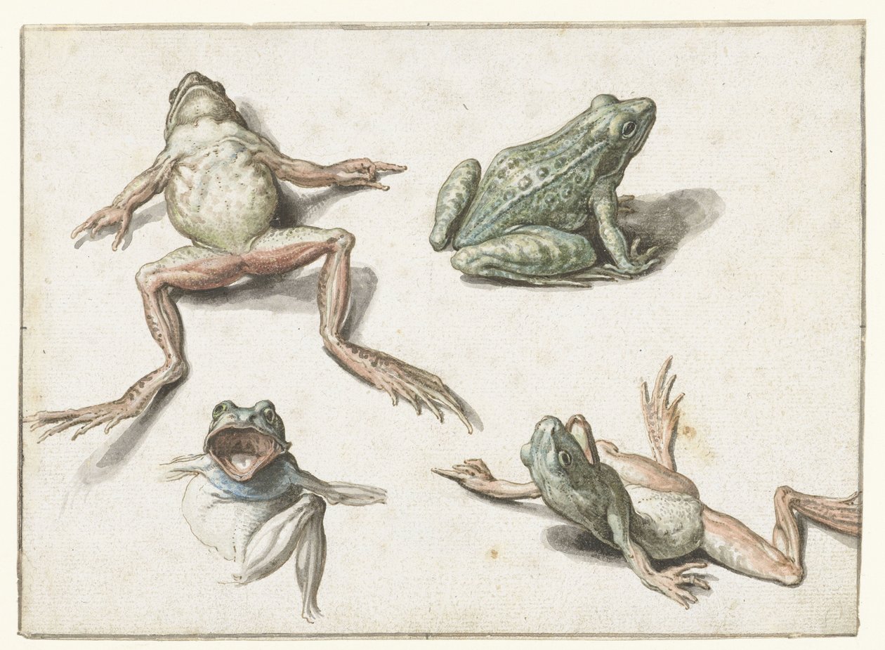 Quatre études d