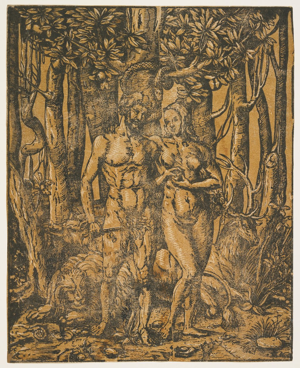Adam et Ève, XVIe siècle - Jacob the Elder attr. to Lucius