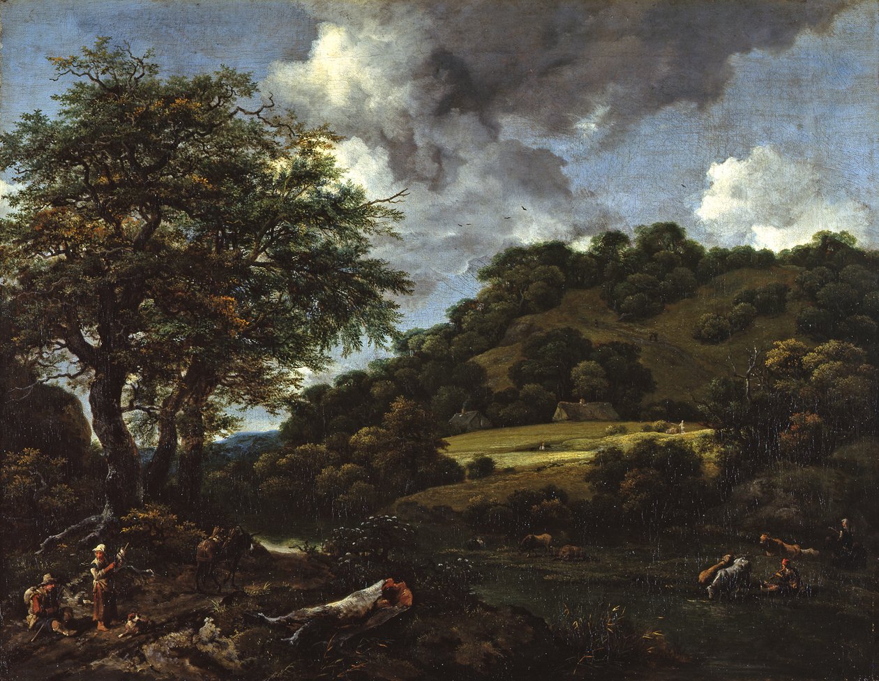 Un paysage vallonné avec de grands chênes - Jacob van Ruisdael
