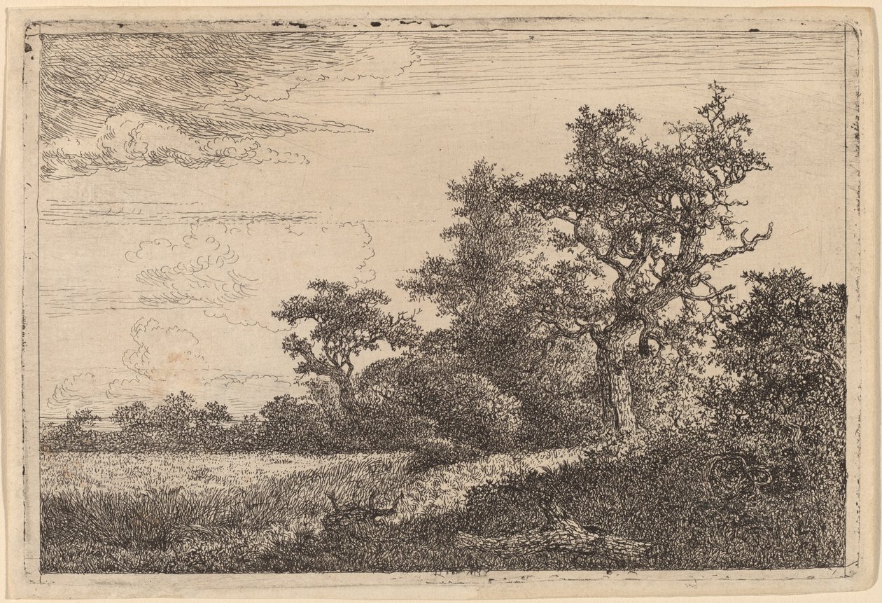 Champ de blé à la lisière d