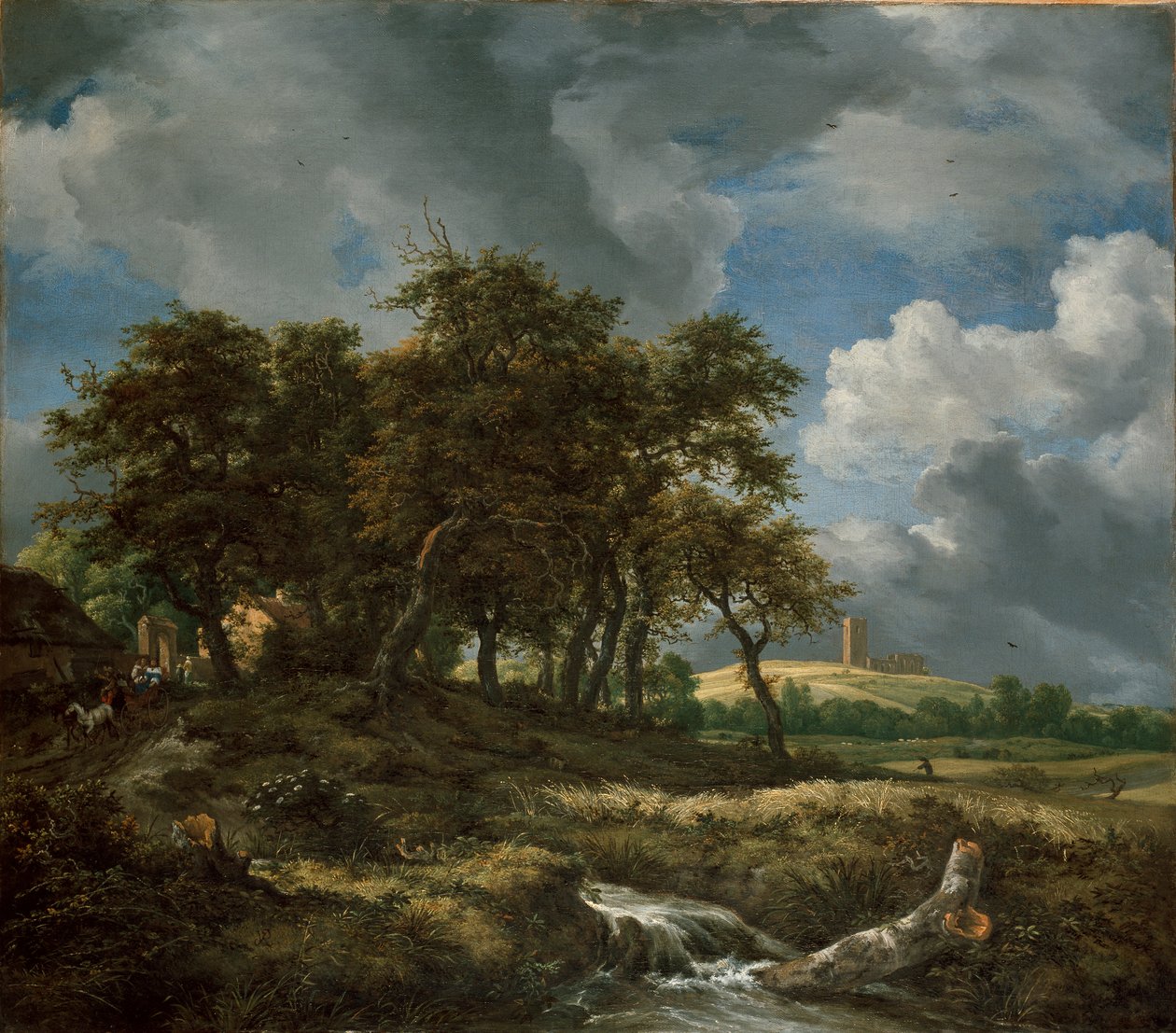 Paysage près de Muiderberg - Jacob van Ruisdael