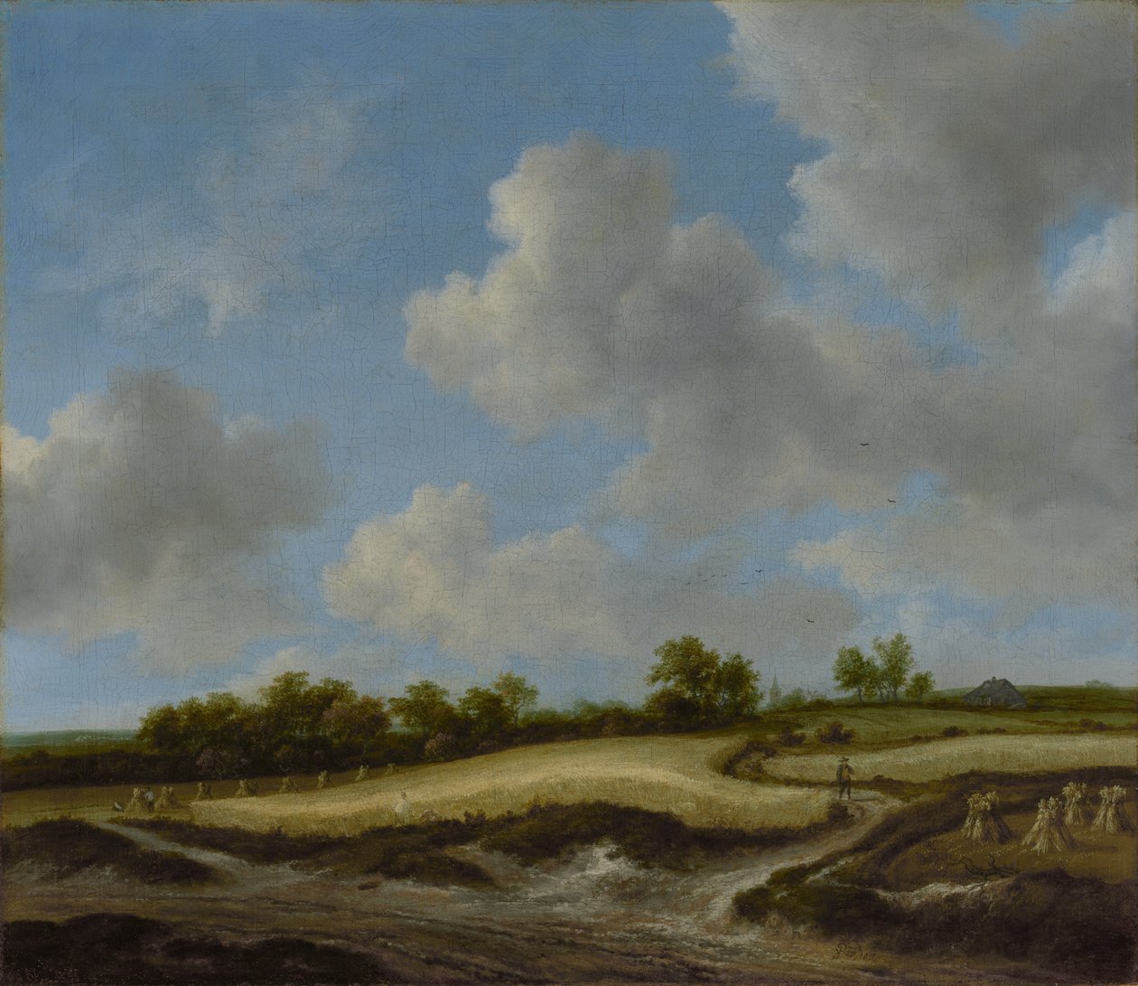 Paysage avec un champ de blé - Jacob van Ruisdael