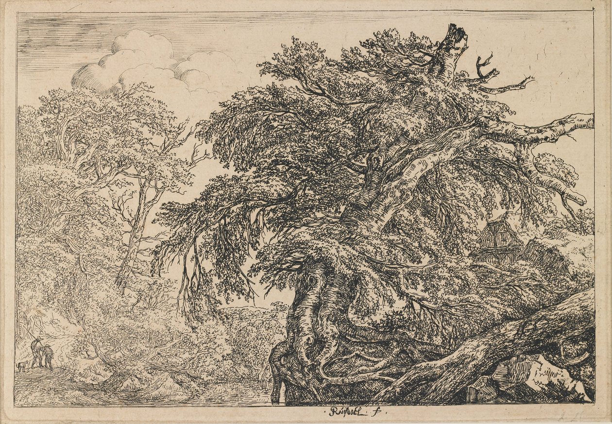 Le grand hêtre, avec deux hommes et un chien - Jacob van Ruisdael