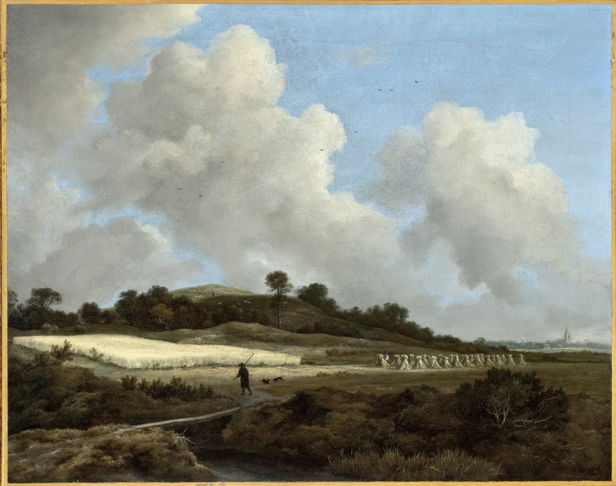 Vue de champs de céréales avec une ville lointaine - Jacob van Ruisdael