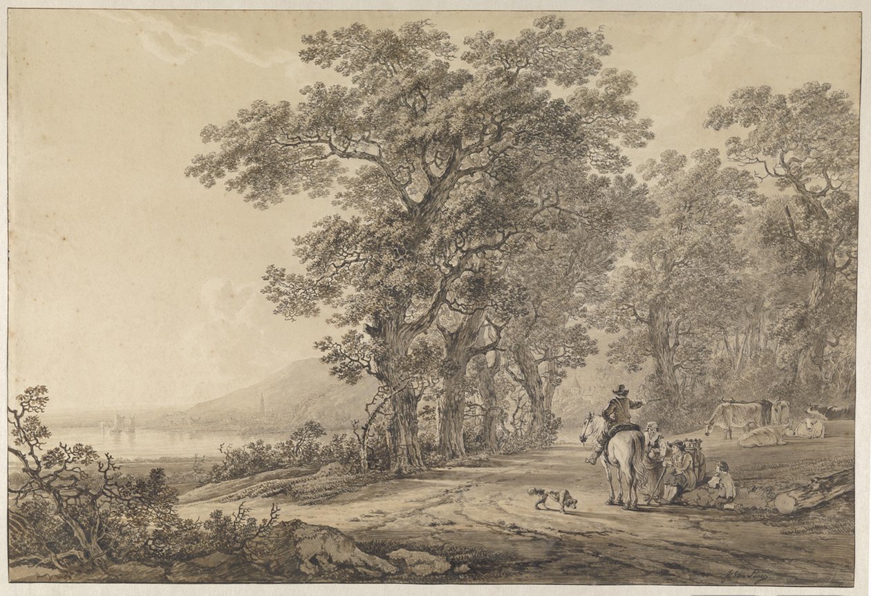 Un chemin bordé de hauts arbres le long d