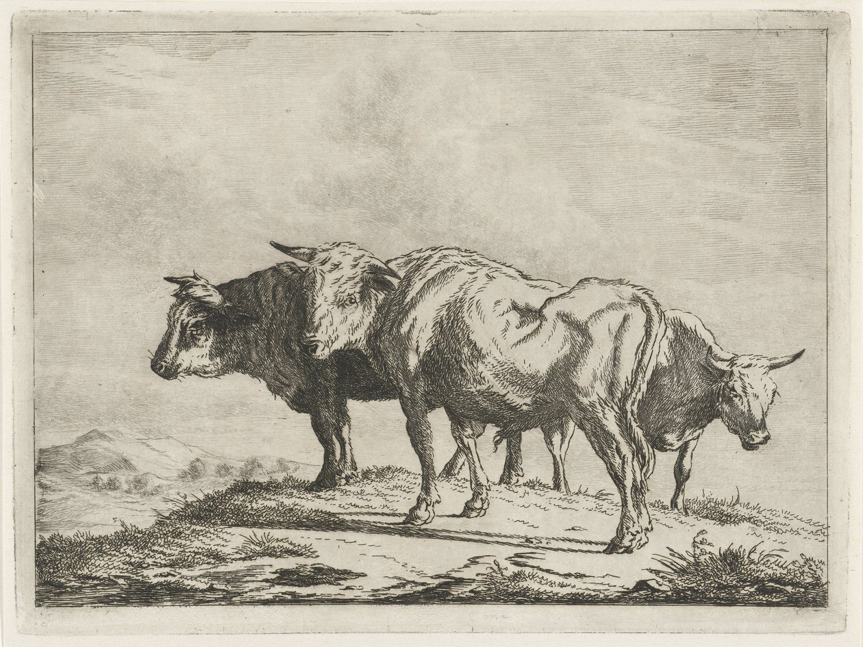 Trois bœufs - Jacobus Cornelis Gaal