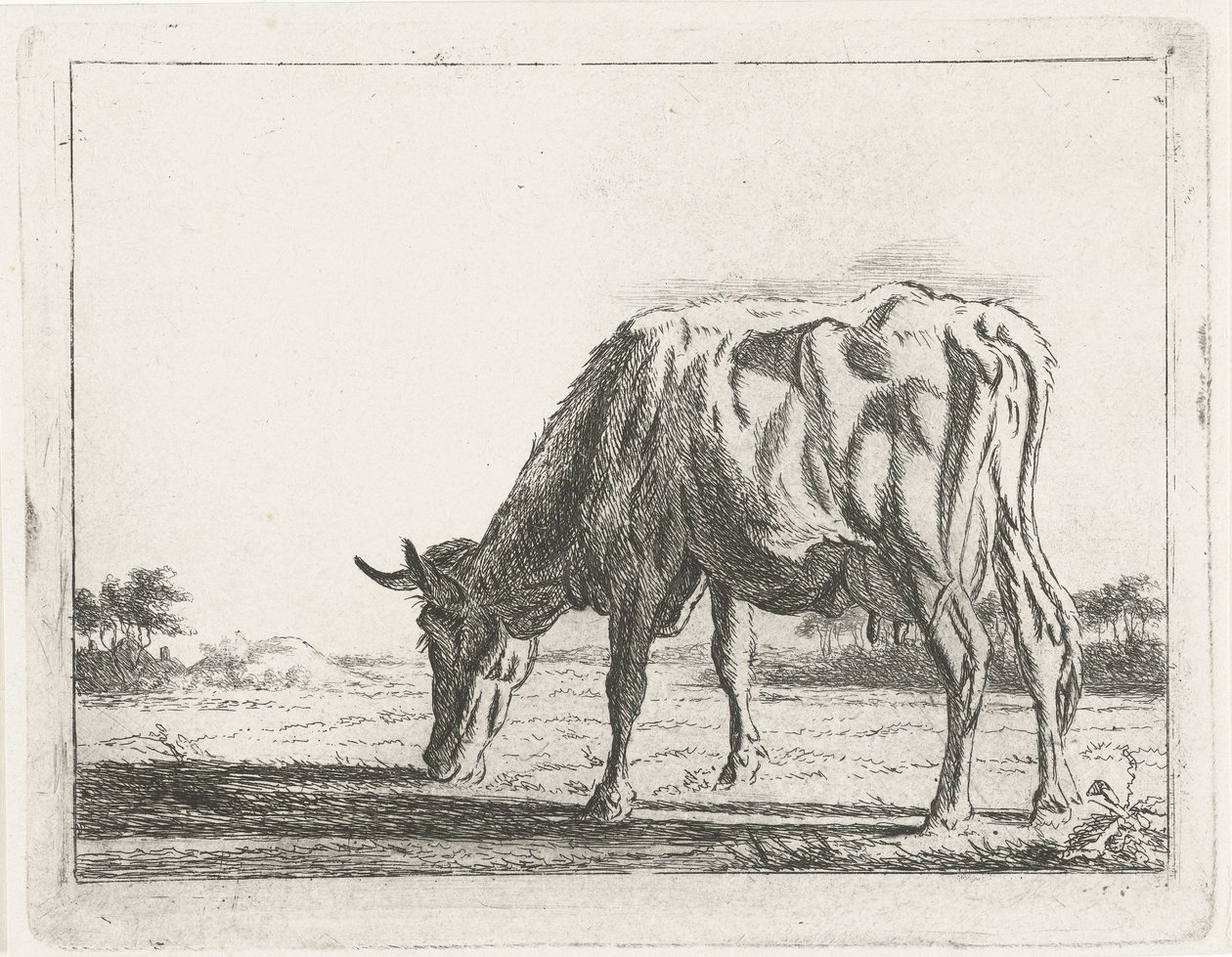 Vache broutant - Jacobus Cornelis Gaal