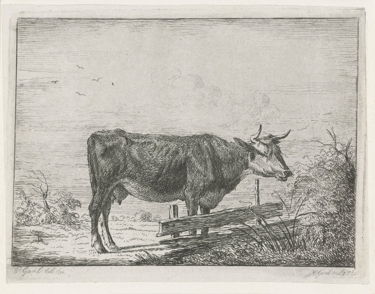 Vache debout près d
