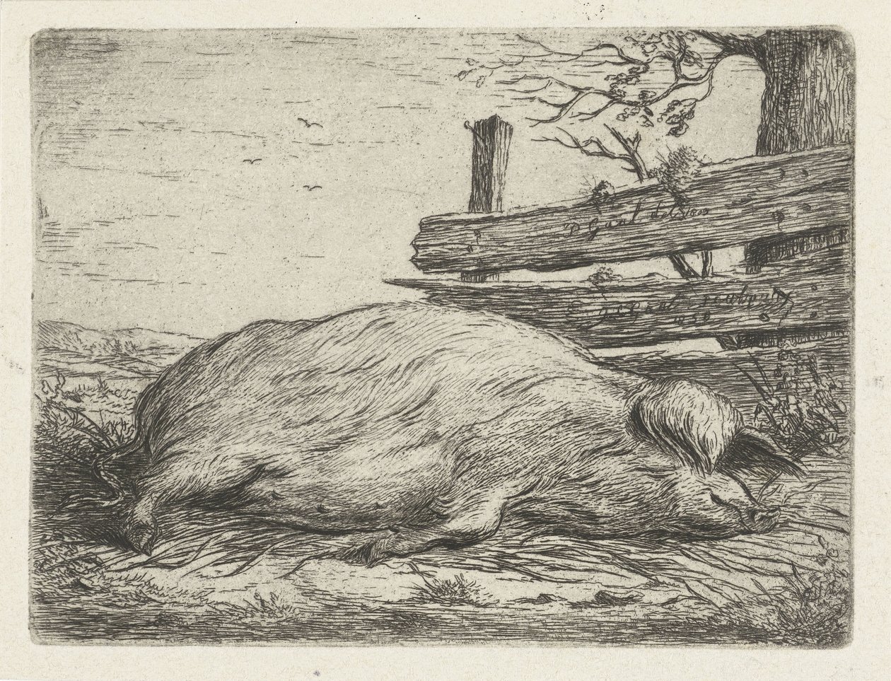Sanglier couché - Jacobus Cornelis Gaal