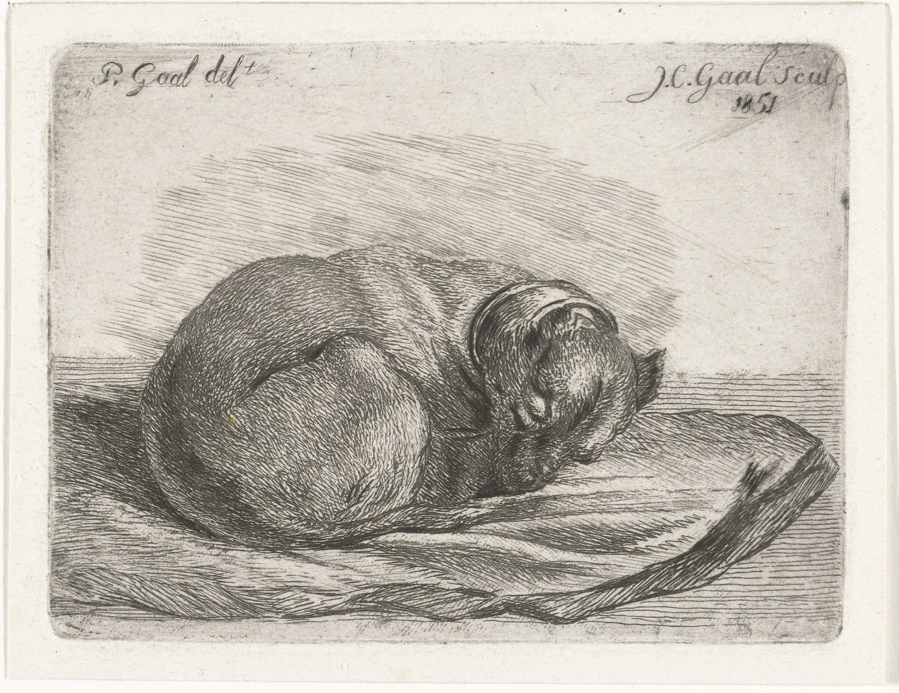 Chien endormi, couché sur une couverture - Jacobus Cornelis Gaal