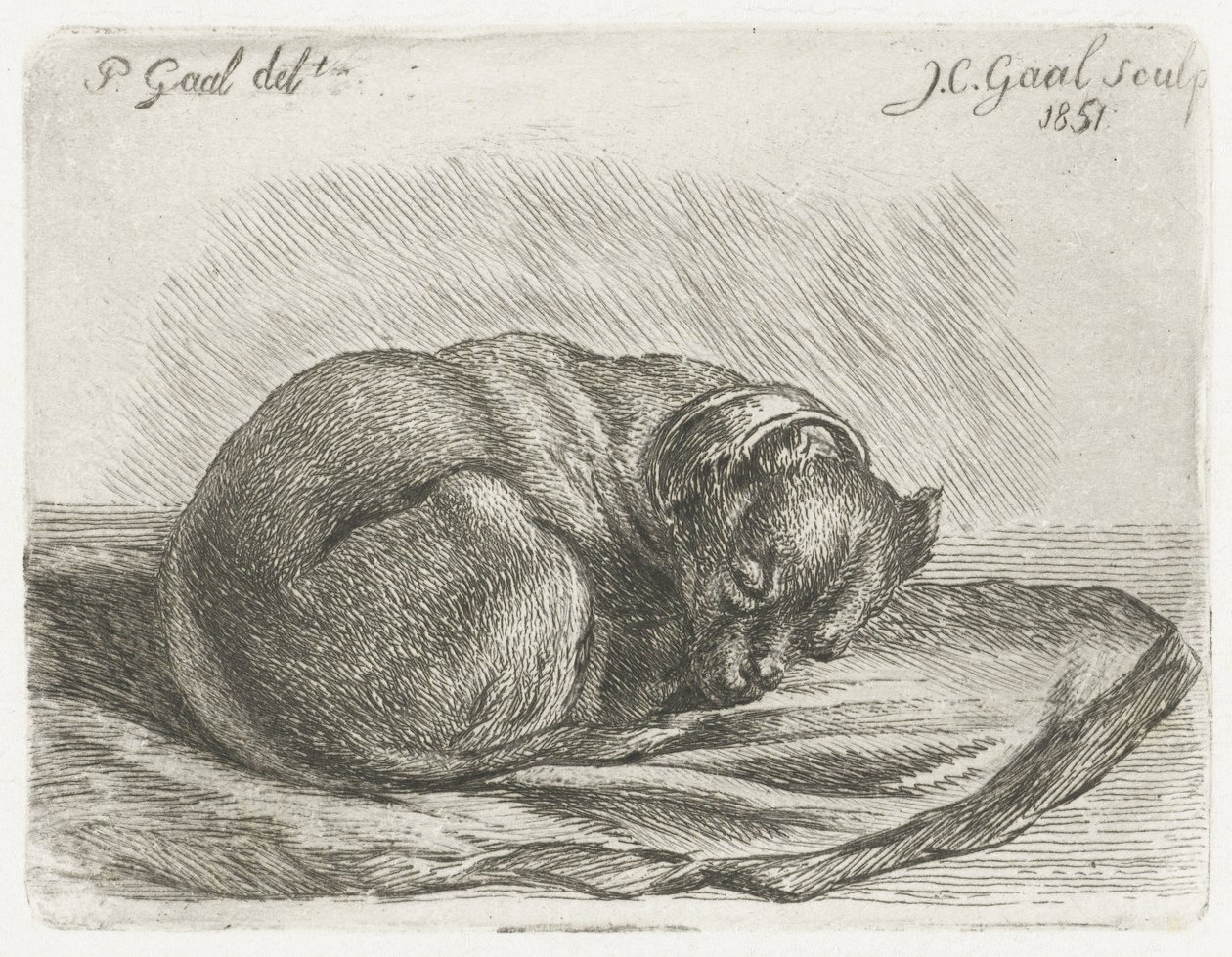 Chien endormi, couché sur une couverture - Jacobus Cornelis Gaal
