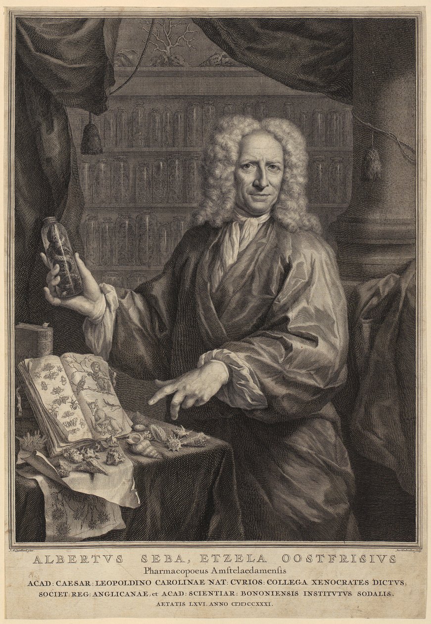 Portrait d