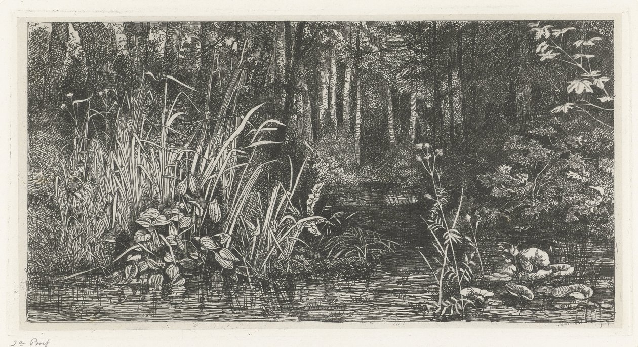 Ruisseau forestier - Jacobus Ludovicus Cornet