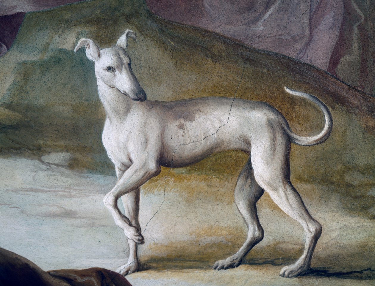 Chien (détail) - Jacopo Guarana
