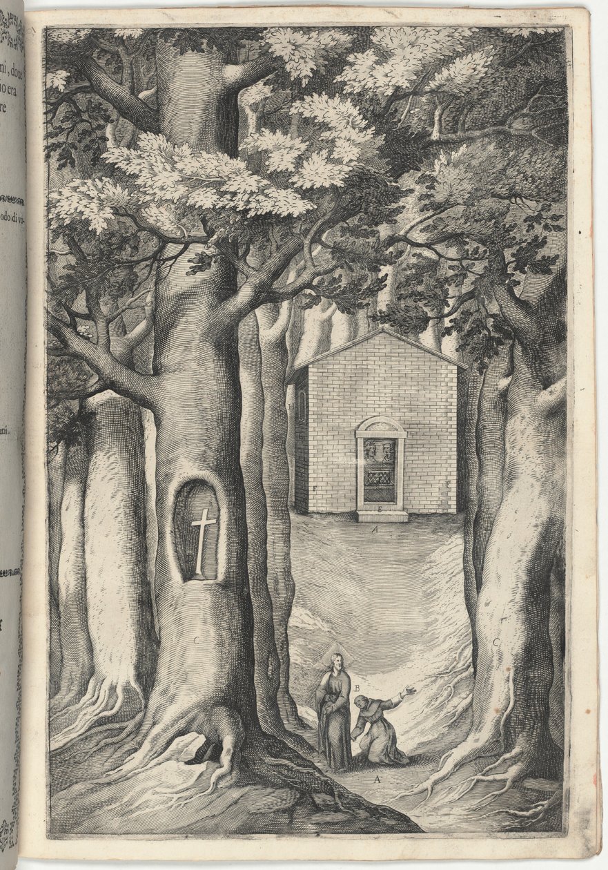 Chapelle du bienheureux Jean de La Verna (Cappella del beato Giovanni della Verna) [planche S] - Jacopo Ligozzi