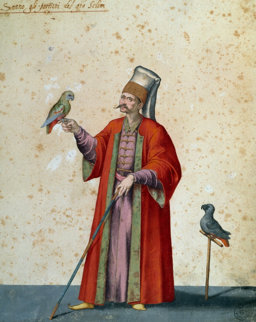 Huissier du grand Selim avec des perroquets, dessin de Jacopo Ligozzi (1547-1627) - Jacopo Ligozzi