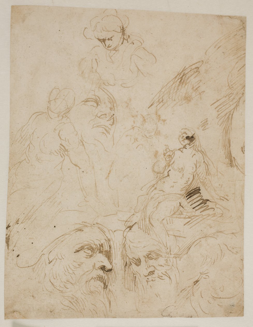 Études pour têtes masculines et une femme nue assise - Jacopo Palma